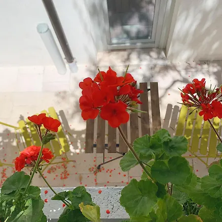 Dimora Cumma Mari 4* Vieste