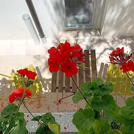 Dimora Cumma Mari Bed & Breakfast Vieste